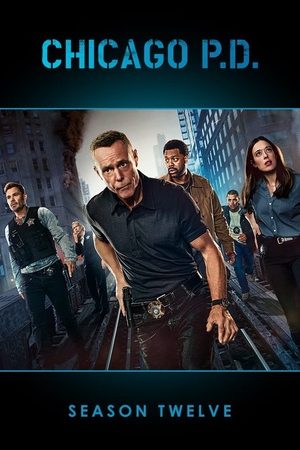 Sở Cảnh Sát Chicago (Phần 12)