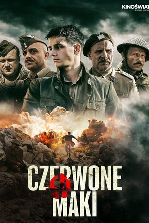 Những Đoá Anh Túc Đỏ